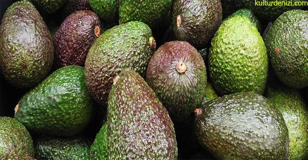 Avokado﻿